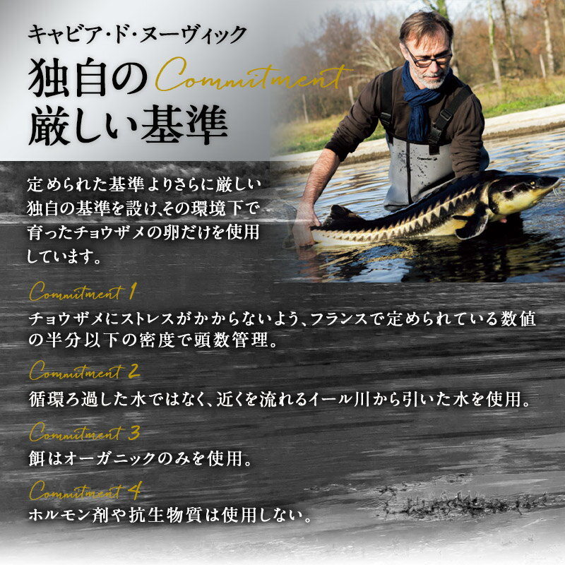 ����ӥ����ɡ��̡������å� �������ȥ�ʥե�å���� 50g����¢�ϡ�����̵���ۡ�3��4�Ķ�������˽в١�