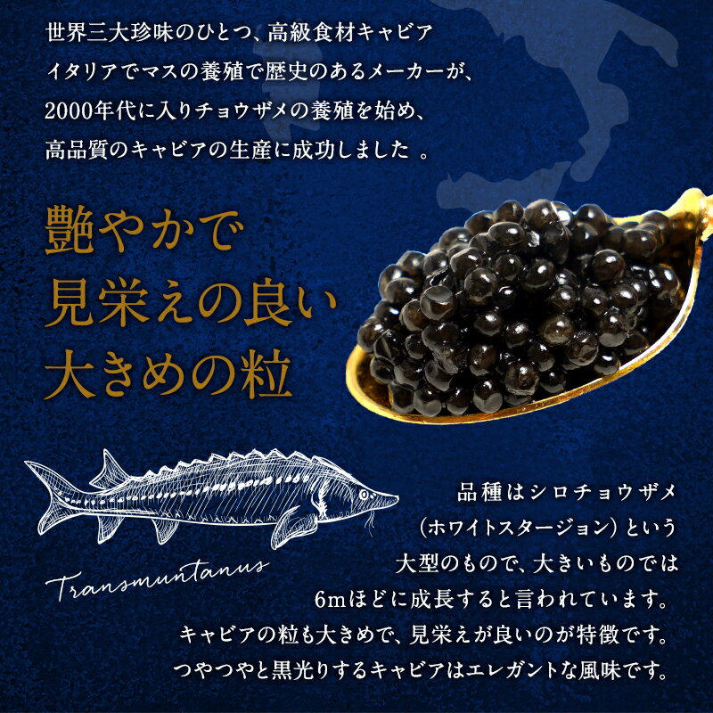 �����ꥢ�� ���쥹�ȥ���ӥ� 50g����¢/�����]������̵���ۡ�3��4�Ķ�������˽в١�