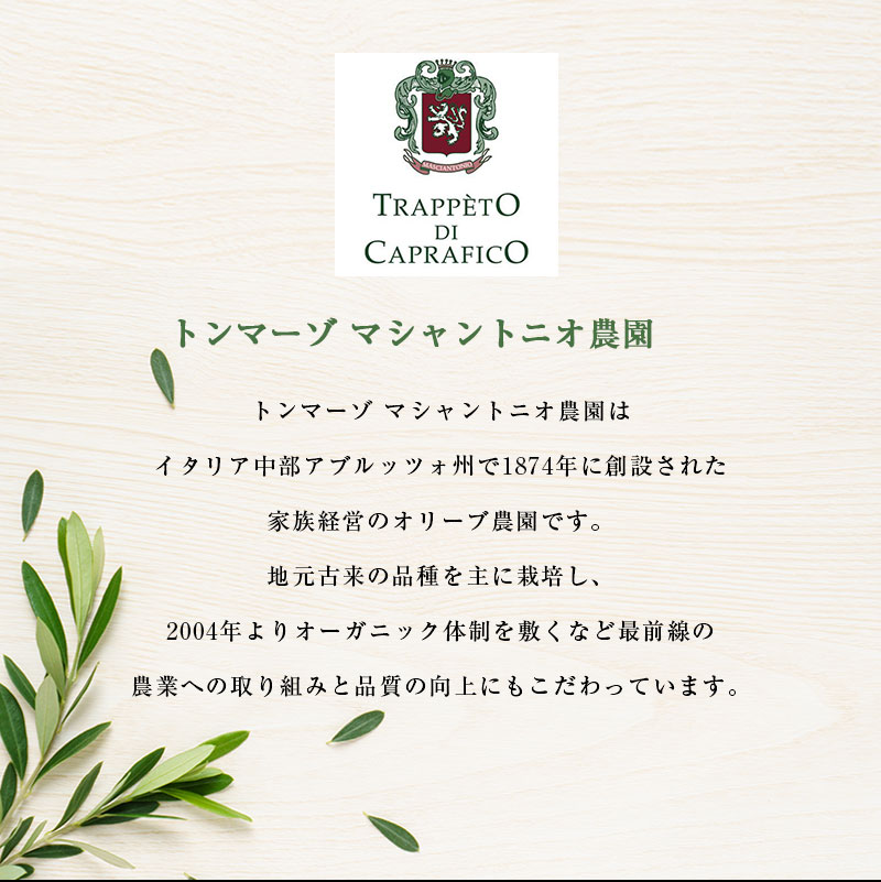 �ȥ�ޡ��� �ޥ����ȥ˥����������ȥ���������� ���꡼�֥����� 500ml�ξﲹ/��¢���]��3��4�Ķ�������˽в١ۡ�Ʊ�쾦�ʤ�12�ܤޤ�Ʊ���ġ�