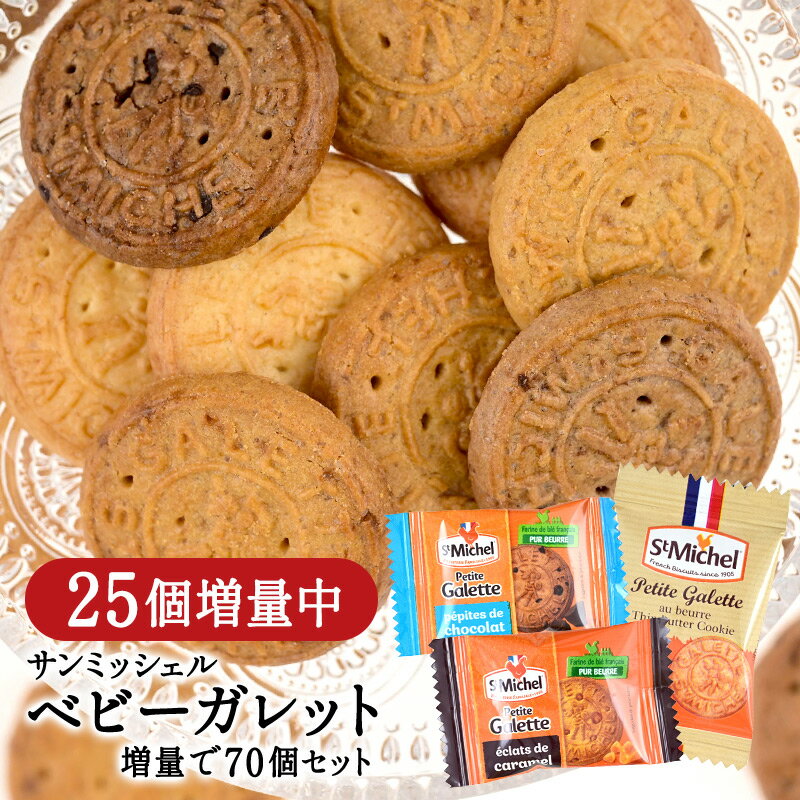 ガレット ブルトンヌ 12個入【焼き菓子 洋菓子 スイーツ お菓子】【ギフト プチギフト プレゼント 贈り物 お土産 土産 おみやげ 手土産 フランス ブルターニュ 母の日 父の日 敬老の日 お中元 お歳暮】【雅心苑】