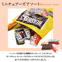 ハーシー ミニチュアーズ(チョコレート) 画像3