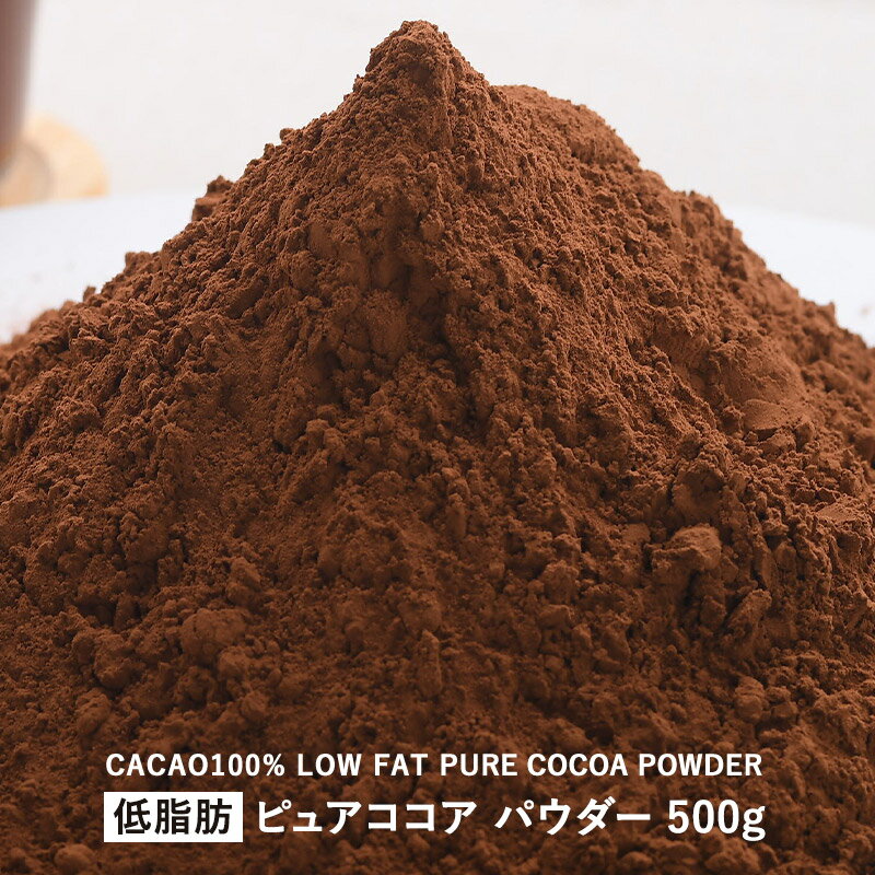 低脂肪ココアパウダー500g スペイン産 ［常温/全温度帯可］【4～5営業日以内に出荷】