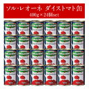 ソル レオーネ ダイストマト缶400g×24個（1ケース）［常温のみ］［同梱不可］ 賞味期限：2024年6月30日 【1〜2営業日以内に出荷】【送料無料】