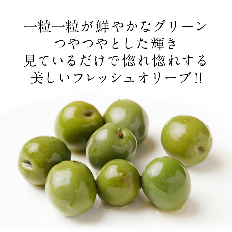 �顦���å� ���꡼�󥪥꡼�֡ʼ��դ���250g ����¢�Τߡϡ�3��4�Ķ�������˽в١�