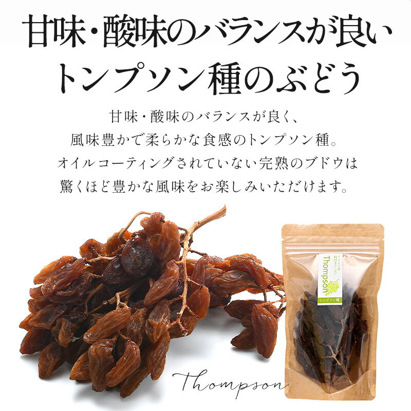 枝付きレーズン クリムゾン＆トンプソン 100g 2種セット［常温/冷蔵も可］【3〜4営業日以内に出荷】[R] 3