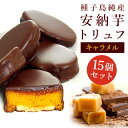 【内祝やギフトに】安納芋トリュフ「キャラメル」チョコレート 15個入【★15個入】 スイートポテト チョコ 洋菓子 和菓子 スイーツ 内祝い プレゼント 誕生日 ギフト