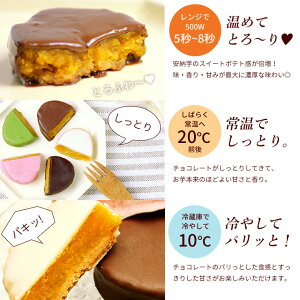 【送料無料】種子島純産安納芋トリュフチョコレート(10個入