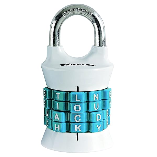 Master Lock (}X^[bN) 싞 _C Ïؔԍݒ {̕38mm ݍa24mm h 1535JADWDTEAL ^[RCYu[