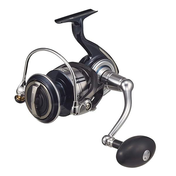 (DAIWA) 21 ơSW 10000-H