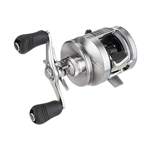 ޥ(SHIMANO) ٥ȥ꡼ ξ 19 륫å󥯥 DC 201 