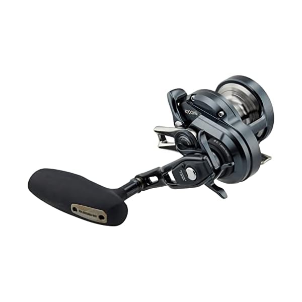 シマノ(SHIMANO) ベイトリール 両軸 オシアジガー Fカスタム 1000HG(右) ジギング マダイ タチウオ 根魚