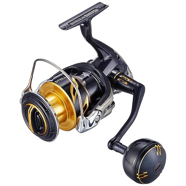 ޥ(SHIMANO) ԥ˥󥰥꡼ 20 ƥ SW 6000HG ե祢&祢 #6000ɥǥ