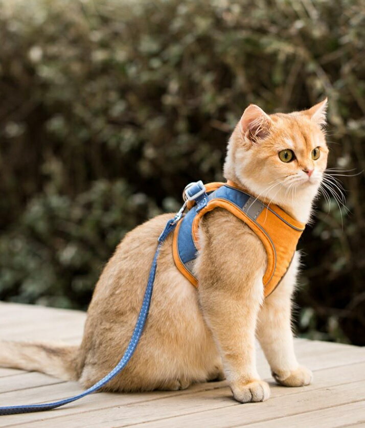 送料240円 猫 ハーネス リード 散歩 ダブルロック カラフル ツートンカラー 人気スポー新作 抜けない かわいい 通気性 鹿革 おしゃれ 脱げない 犬 猫用 外れない 服