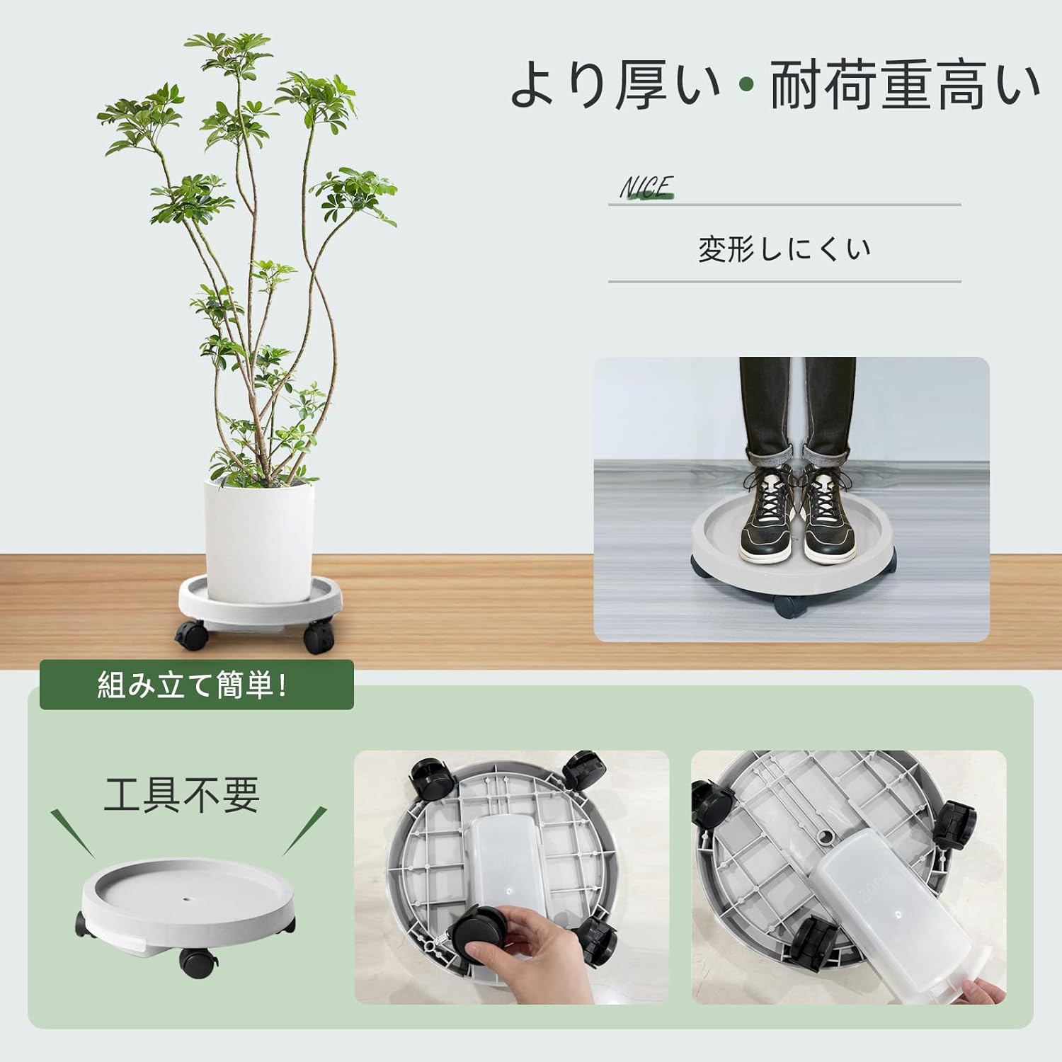 ����690�� ȭ�� �ӿ�ȥ졼�դ� ���㥹�����դ� ���24cm��44cm 5������ ȭ�� ȭ������ ������ ����ȭ�� �ӿ�Ǥ���