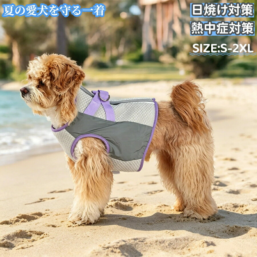 商品画像2