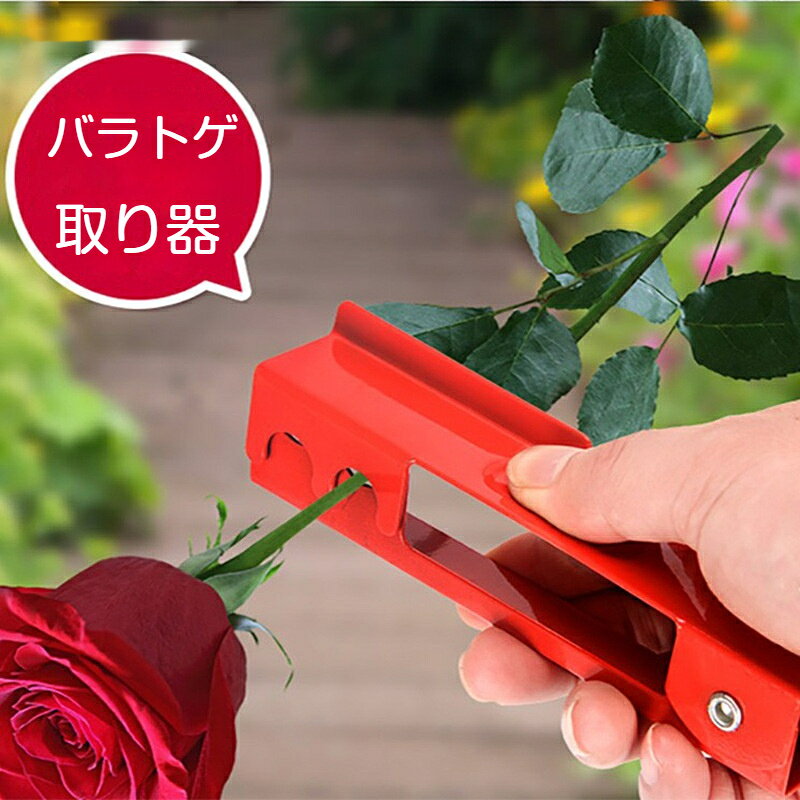 【商品名】バラトゲ取り器【材質】鉄【サイズ】長さ14cm × 幅3cm【カラー】レッド【特徴】バネ内蔵、バラのトゲ除去、変形しにくい鉄製、コンパクト【用途】フラワーアレンジメント、花束制作、園芸作業、花屋業務用バラの茎のトゲを簡単に取り除ける鉄製のトゲ取り器です。歯型部分で花茎を挟んでスライドさせるだけで、素早くトゲを除去可能。手を傷つけるリスクを抑え、花束制作やフラワーアレンジ作業が時短になります。鉄素材で丈夫で変形しにくく、バネ内蔵で開閉がスムーズ。コンパクトサイズで持ち運びも便利、花屋、ガーデニング愛好家、家庭でのフラワーアレンジにおすすめです。
