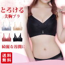 ブラジャー ノンワイヤーブラ 補正 下着 脇高 3/4カップ 谷間 ナイトブラ 大きいサイズ レディース 20代 30代 40代 50代 脇肉 背肉 レース おしゃれ