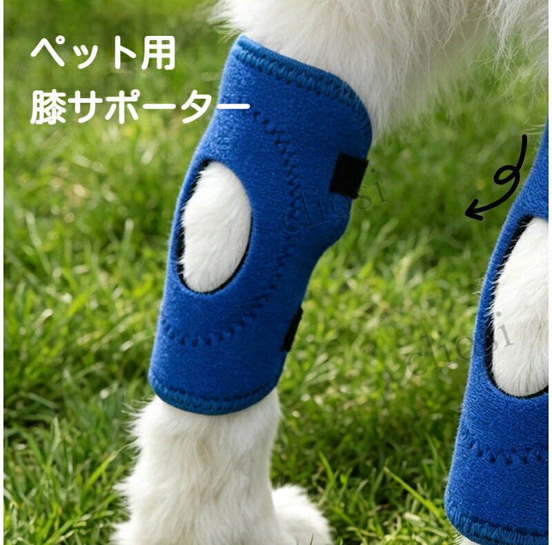 保温性に優れ耐磨耗な犬用膝サポーター。お散歩時の関節負担を和らげ、けが予防や関節ケアに役立ちます。