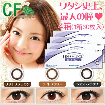 フレッシュルックデイリーズイルミネート【4箱】【日本アルコン(旧チバビジョン)】【Yep_100】【150704coupon300】【10P03Dec16】