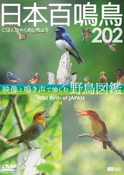 日本百鳴鳥 202 にほんひゃくめいちょう／映像と鳴き声で愉しむ野鳥図鑑 【CHAPTER】(収録野鳥一覧・50音順(収録順)) アオゲラ／アオサギ／アオジ／アオバズク／アオバト／アカエリカイツブリ／アカゲラ／アカコッコ／アカショウビン／アカハラ ／アカヒゲ／アトリ／アリスイ／イイジマムシクイ／イカル／イスカ／イソシギ／イソヒヨドリ／イヌワシ／ウグイス／ウソ ／ウチヤマセンニュウ／エゾセンニュウ／エゾライチョウ／エナガ／オオアカゲラ／オオジシギ／オオジュリン／オオセッカ ／オオソリハシシギ／オオタカ／オオチドリ／オオメダイチドリ／オオヨシキリ／オオルリ／オガワコマドリ／オグロシギ ／オシドリ／オジロビタキ／オナガ／カイツブリ／カケス／カササギ／カシラダカ／カッコウ／カヤクグリ／カラアカハラ ／カラムクドリ／カルガモ／カワウ／カワガラス／カワセミ／カワラヒワ／カンムリワシ／キアシシギ／キガシラセキレイ ／キクイタダキ／キジ／キジバト／キセキレイ／キバシリ／キビタキ／キョウジョシギ／キレンジャク／ギンザンマシコ／キンバト ／ギンムクドリ／クマゲラ／クロガモ／クロジ／クロツグミ／ケリ／コアカゲラ／ゴイサギ／コオリガモ／コガモ／コガラ／コゲラ ／コサメビタキ／コシアカツバメ／コシャクシギ／ゴジュウカラ／コジュケイ／コジュリン／コチドリ／コノハズク／コハクチョウ ／コホオアカ／コマドリ／コミミズク／コムクドリ／コヨシキリ／コルリ／サシバ／サンカノゴイ／サンコウチョウ／サンショウクイ ／シジュウカラ／シノリガモ／シマアオジ／シマセンニュウ ／シマフクロウ／シメ／ジュウイチ／ジョウビタキ／シラコバト ／シロガシラ／シロチドリ／シロハラ／シロハラクイナ／シロハラホオジロ／ズグロミゾゴイ／スズメ／セイタカシギ ／セグロセキレイ／セッカ／センダイムシクイ／ソリハシシギ／ダイサギ／ダイシャクシギ／ダイゼン／タカブシギ／タゲリ ／タマシギ／タンチョウ／チゴハヤブサ／チョウゲンボウ／ツグミ／ツツドリ／ツバメ／ツバメチドリ／ツミ／ツメナガセキレイ ／ツリスガラ／トウネン／トビ／トラツグミ／ニュウナイスズメ／ノグチゲラ／ノゴマ／ノジコ／ノスリ／ノビタキ／ハイタカ ／ハギマシコ／ハクセキレイ／ハシブトガラス／ハシボソガラス／ハヤブサ／バン／ヒガラ／ヒクイナ／ヒシクイ／ヒドリガモ ／ヒバリ／ヒバリシギ／ヒヨドリ／ヒレンジャク／ビンズイ／フクロウ／ブッポウソウ／ベニマシコ／ホオアカ／ホオジロ／ホシガラス ／ホトトギス／マガモ／マガン／マキノセンニュウ／マヒワ／マミジロ／マミジロキビタキ／マミチャジナイ／ミコアイサ／ミサゴ ／ミゾゴイ／ミソサザイ／ミツユビカモメ／ミヤマホオジロ／ミユビシギ／ムギマキ／ムクドリ／ムナグロ／ムネアカタヒバリ ／メグロ／メジロ／メダイチドリ／メボソムシクイ／モズ／ヤツガシラ／ヤブサメ／ヤマガラ／ヤマゲラ／ヤマセミ／ヤンバルクイナ ／ユリカモメ／ヨシゴイ／ヨタカ／ライチョウ／リュウキュウヨシゴイ／ルリカケス／ルリビタキ (以上202種) ※「日本百鳴鳥」は「にほんひゃくめいちょう」と読みます。“百”と称していますが「202種類」を収録しています。 ※野鳥に特化したソーシャルメディア「野鳥遺産×日本百鳴鳥」から生まれた作品です。 撮影・録音・監修:佐藤 進 ●DVD1枚 ●カラー約216分／ステレオ／16：9／片面2層／2014年作品 【編集・製作・発売元】(株)シンフォレスト 【販売元】(株)竹緒 (C) 2014 Susumu Sato / Synforest Inc. All Rights Reserved ※一部の商品で、旧税率で計算された税込価格のみがパッケージ等に記載されており、実際の販売価格と異なる場合がございます。ご不便をおかけいたしますが、何卒ご理解のほど宜しくお願い致します。日本百鳴鳥 202 にほんひゃくめいちょう／映像と鳴き声で愉しむ野鳥図鑑(DVD) 2014年5月14日発売 日本の野鳥「202種」をこだわりの「音」と「映像」で丁寧にまとめあげた映像図鑑。 質・量ともに究極の野鳥作品を目指し「3時間30分」を超える圧巻のボリュームに到達。野鳥の名前と鳴き声を愉しみながら覚えられるバードウォッチングDVDの永久保存版！ ●全編“鳴き声と自然音のみ”で構成 ●鳥の名前や映像の解説は表示・非表示が切替可能な字幕機能で収録 ●字幕は読みやすい“大きめの文字サイズ”採用 ●50音順リストから目的の鳥を一発再生可能なメニュー機能搭載 ●BGV・環境映像として流しておくのに最適なエンドレス再生仕様(音だけ流しても最高です! ) ●「音」は入念にサウンドトリートメント! (もちろん)収録全種、鳴き声付き! ●日本鳥学会発表「日本鳥類目録改訂第7版」準拠 高評価・好セールスを記録し「野鳥DVD」の定番となった『日本百鳴鳥』('08年刊)の名を受け継いだ新たな決定版DVD！ 好評を博したコンセプトはそのままに、すべての映像素材をHD撮影による16:9画角(前作は4:3画角)で収録。 鳥の種類は182種から202種へ、収録時間も152分から216分へと大幅グレードアップ。焼き直しではなく、全く新しい作品です。 日本三鳴鳥(ウグイス/オオルリ/コマドリ)はもとより、鳴き声の美しい主要202種を片面2層に一挙収録。別途一覧の通り、まさに集大成となる大作となりました。 「映像と鳴き声」を“同時に視聴する分かりやすさ”はDVDならでは。鳥見入門者から長年の野鳥ファンまで、何度も長く愉しめる逸品です。 DVD1枚組