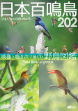 ɴĻ 202 ˤۤҤ㤯ᤤ礦ĤĻ޴(DVD)ڼ̣ DVD