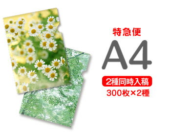 A5クリアファイル印刷4000枚（単価19.25円）