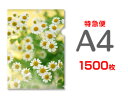 【特急便】A4クリアファイル1500枚（単価43円）