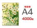 【特急便】A4クリアファイル4000枚(単価29.5円)