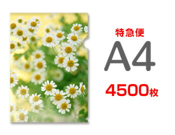 【特急便】A4クリアファイル4500枚