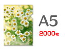 A5クリアファイル印刷2000枚(単価29.25円)