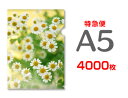 【特急便】A5クリアファイル4000枚(単価26.5円)
