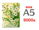 【特急便】A5クリアファイル5000枚(単価25円)