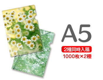 （まとめ買い）コクヨ クリアーホルダー A4 緑 10枚パック フ-B750NGX10 〔×3〕【北海道・沖縄・離島配送不可】