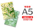 【特急便】A5クリアファイル300枚+300枚=600枚