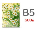 B5クリアファイル印刷500枚(単価85円)