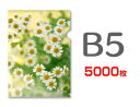 B5クリアファイル印刷5000枚(単価23.7円)