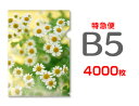 【特急便】B5クリアファイル4000枚（単価37.75円）