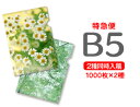 【特急便】B5クリアファイル1000枚+1000枚=2000枚