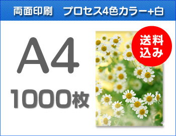 A4クリアファイル1000枚