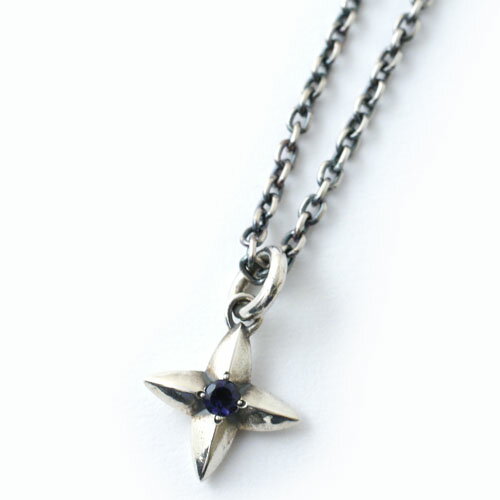 mollive STAR-CROSS IOLITE NECKLACE TAKERU SATOU MODEL