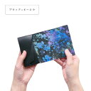 SHOSA・CARD CASE・BLACK×AURORA・sho-ca1c