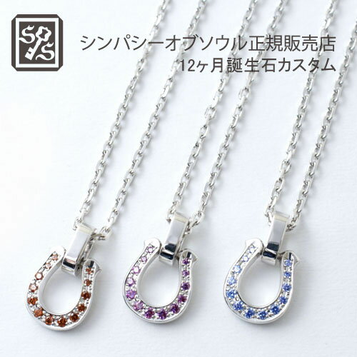 SYMPATHY OF SOUL Medium Horseshoe Pendant / 12ヶ月誕生石カスタム+アジャ丸カン付チェーンCL0504Cロジウムメッキ40-45cm