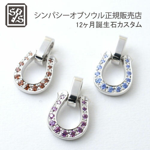 シンパシーオブソウル ネックレス メンズ SYMPATHY OF SOUL Medium Horseshoe Pendant / ColorStone