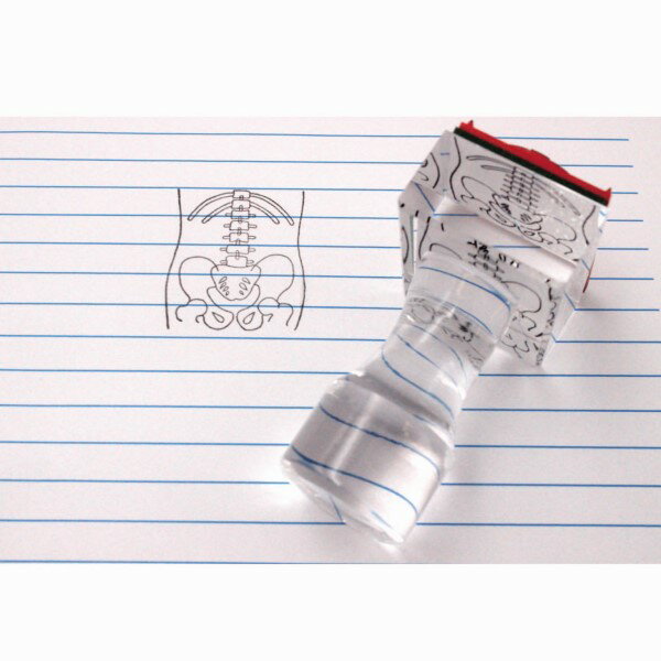 胴体・骨格はんこ33×40mm