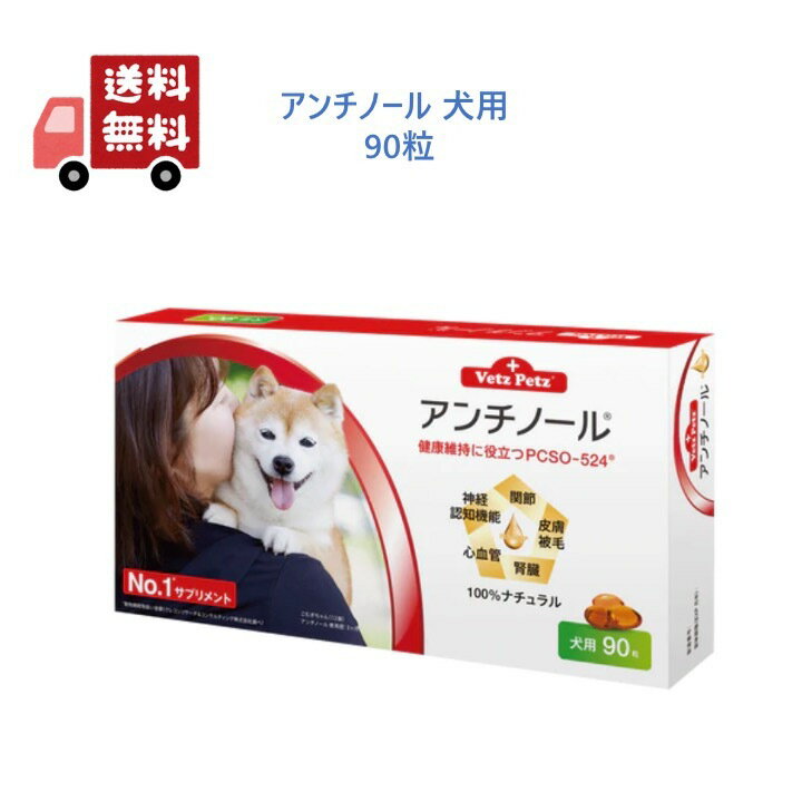 アンチノール 犬用 90粒 健康 関節 腎臓 心血管 認知症 サプリメントのサムネイル