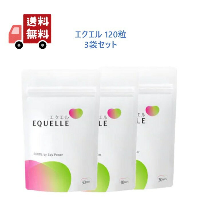 【3袋セット】 大塚製薬 エクエル パウチ 120粒入り(約30日分)のサムネイル