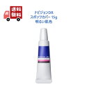 【正規品】 【明るい肌色】資生堂 NAVISION ナビジョンDR スポッツカバー 15g ファンデーション(部分用) 明るい肌色 SPF40 PA＋＋＋