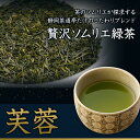 お茶 緑茶 深蒸し煎茶【芙蓉】平袋入　100g...　静岡茶通亭