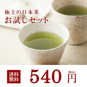 お茶 緑茶 人気の2種類の緑茶が入って540円！！お試しセットB 【送料無料】【上級煎茶駿河路 最上茎茶】茶葉 日本茶 煎茶 国産 お試し セット 送料無料