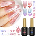 【母の日・5倍P&最大999円OFF券付】 Biutee 超微粒 マグネットネイル 2色 8ml 磁石付 微粒子ラメ UV/LED対応 マグネットネイル キラキ...